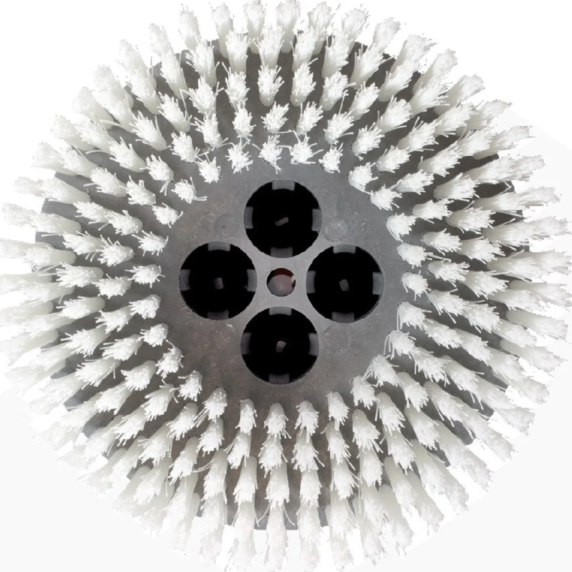 Cimex CR48CM 8" White Soft Nylon Carpet Scrubbing Brushes - Pack of 3