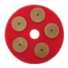 Pioneer Eclipse 5" PowerPolish™ Decorative Floor Polishing Discs - Kit of 10 Discs of the Same Grit